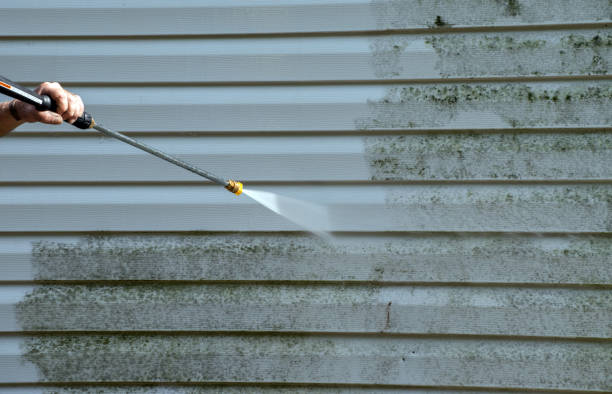 Certified Mold Removal in Archie, MO